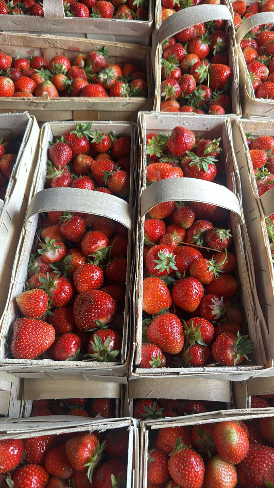 Truskawki - skrzynki